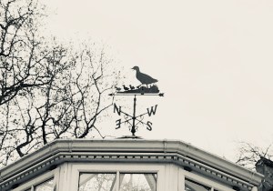 B717C3FC-2DA8-411C-8C9D-DCE5E622900B