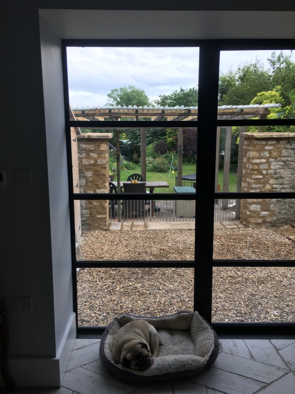 A947FE11-67E4-4EC3-B379-A3DA49EC0E23